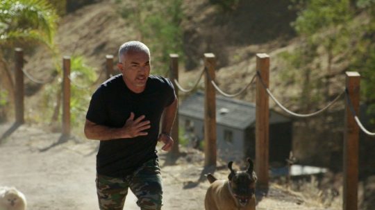 Cesar Millan: Jaký pán, takový pes - 3. epizoda