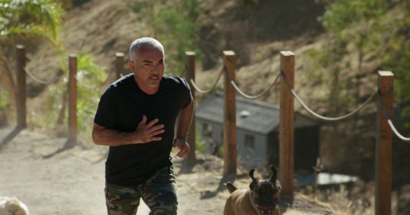 Cesar Millan: Jaký pán, takový pes