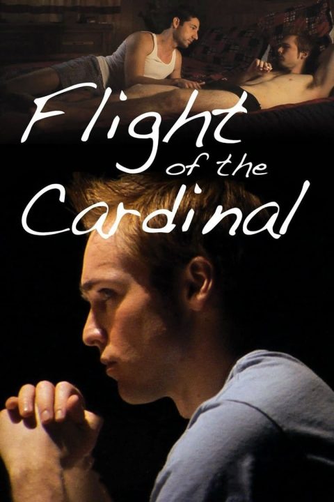 Plakát Flight of the Cardinal