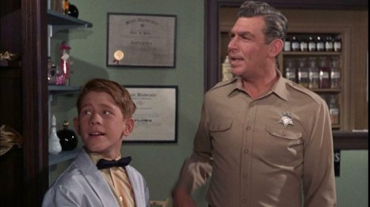 The Andy Griffith Show - 19. epizoda