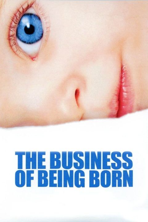 Plakát The Business of Being Born