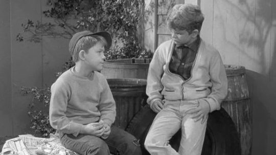 The Andy Griffith Show - 21. epizoda