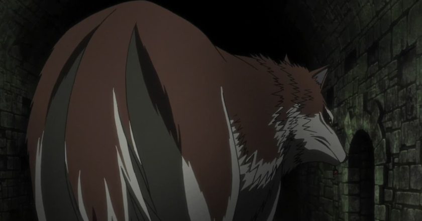 Spice and Wolf