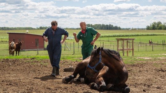 The Incredible Dr. Pol - 8. epizoda