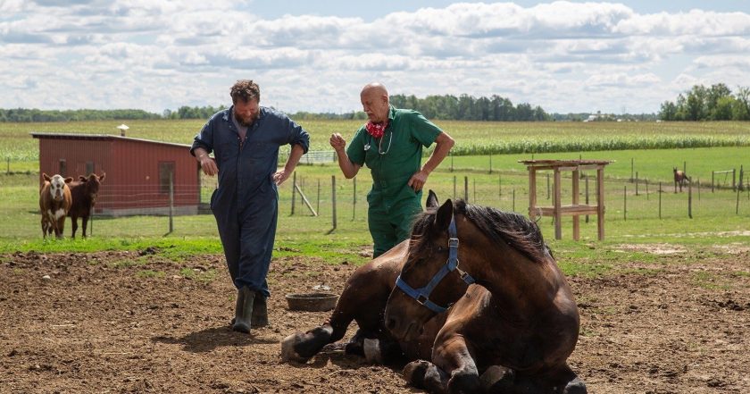 The Incredible Dr. Pol