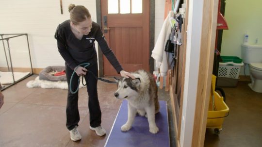 Dr. Oakley, Yukon Vet - 8. epizoda