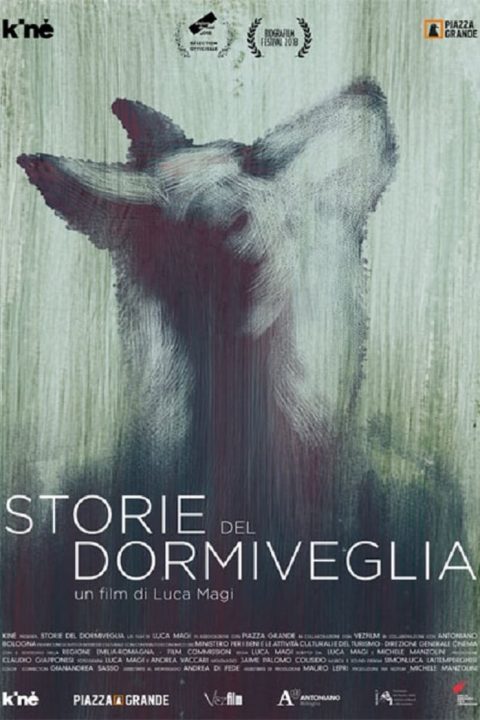 Plakát Storie del dormiveglia