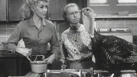 The Beverly Hillbillies - 10. epizoda