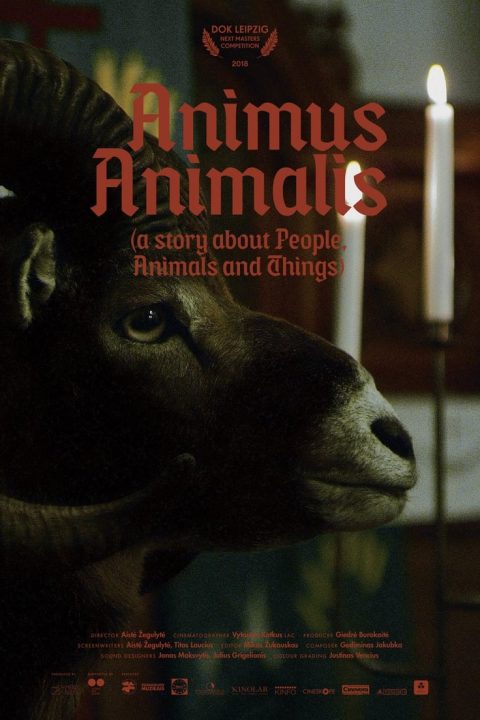 Animus Animalis (istorija apie žmones, žvėris ir daiktus)