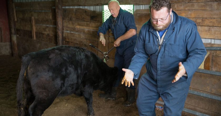 The Incredible Dr. Pol