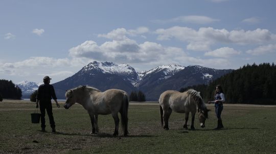 Dr. Oakley, Yukon Vet - 3. epizoda