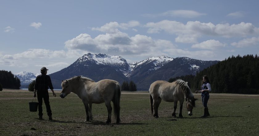 Dr. Oakley, Yukon Vet