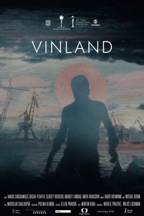 Plakát Vinland