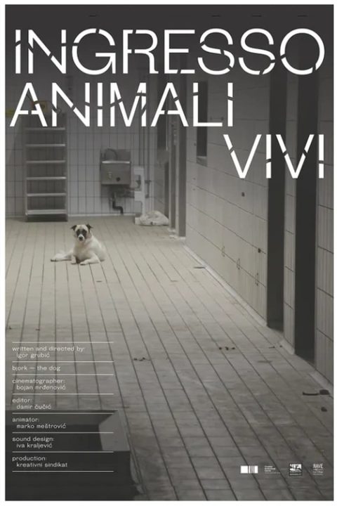 Plakát Ingresso animali vivi