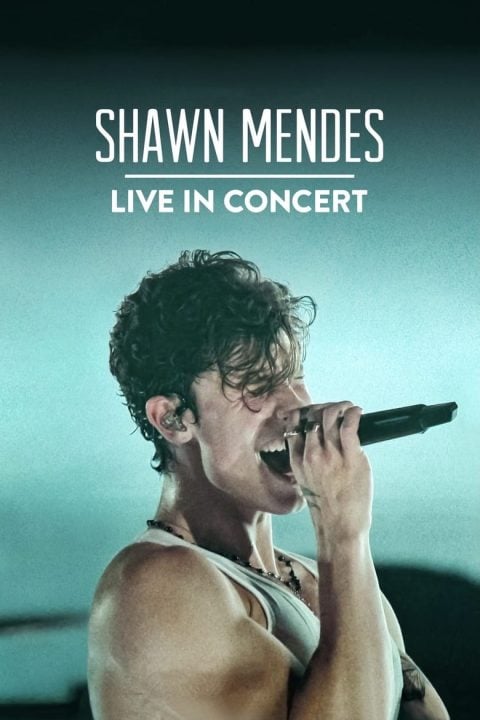 Plakát Shawn Mendes: Live in Concert