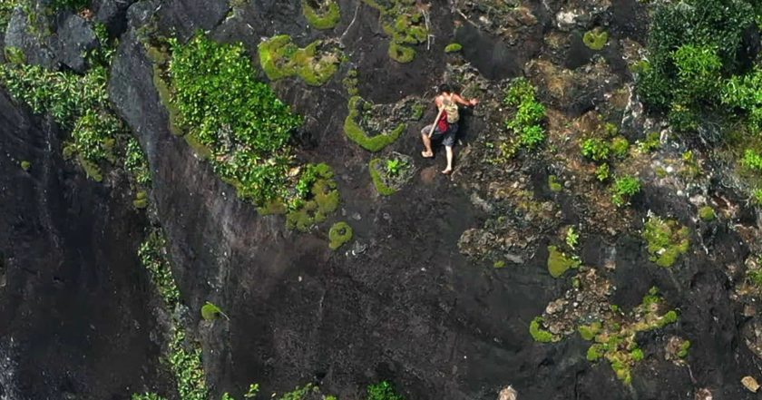 Umění přežít: Amazonie