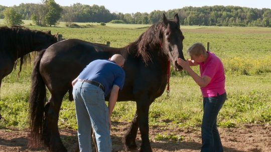 The Incredible Dr. Pol - 8. epizoda