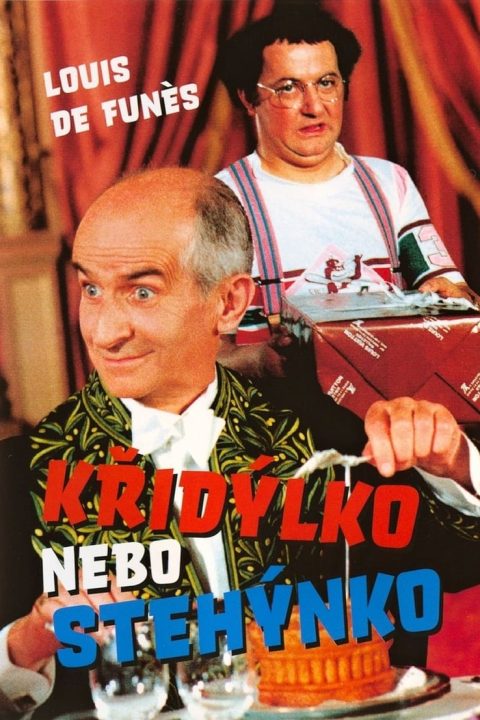 Křidýlko nebo stehýnko