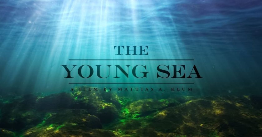 The Young Sea