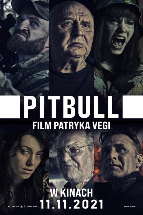 Plakát Pitbull