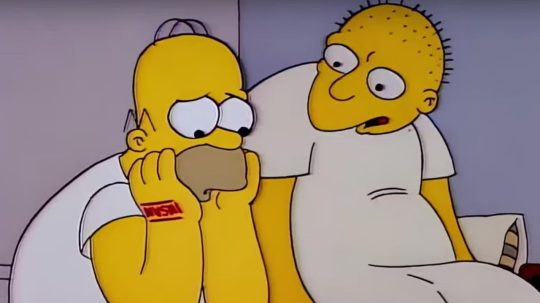 Simpsonovi - Šílený Homer