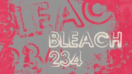 Bleach - 234. epizoda