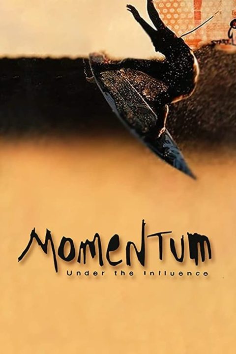 Momentum: Under the Influence