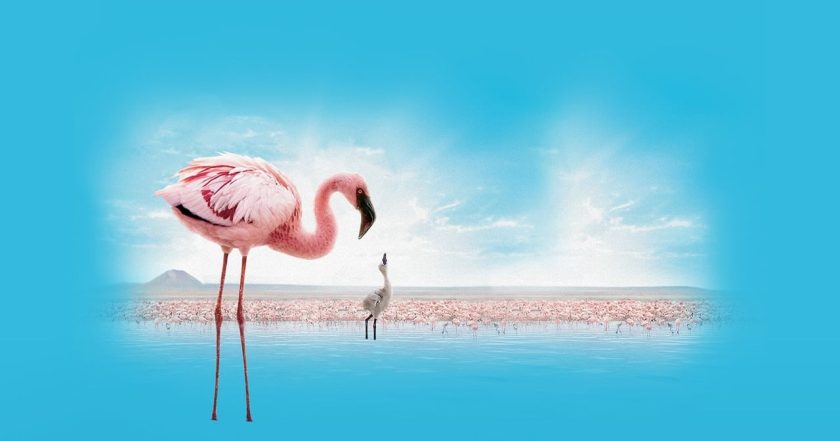 The Crimson Wing: Mystery of the Flamingos