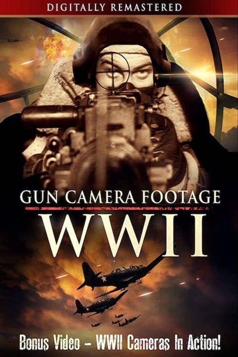 Plakát Gun Camera Footage WWII