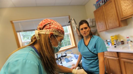 Dr. Oakley, Yukon Vet - 4. epizoda