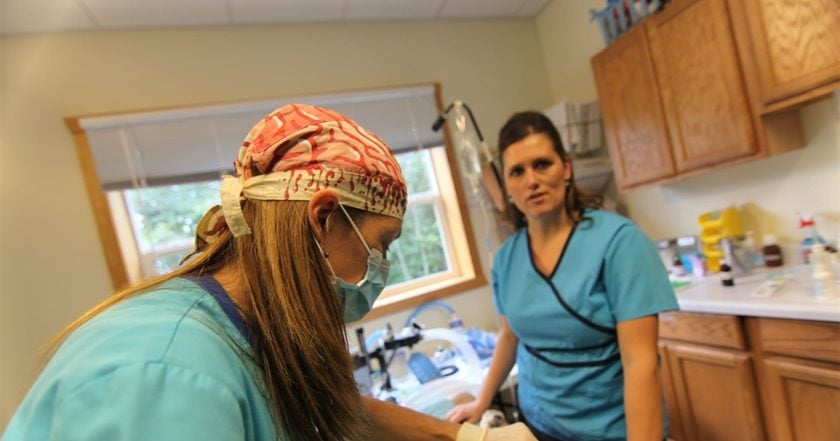 Dr. Oakley, Yukon Vet